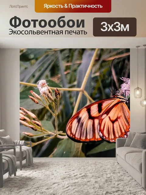 Фотообои Бабочка