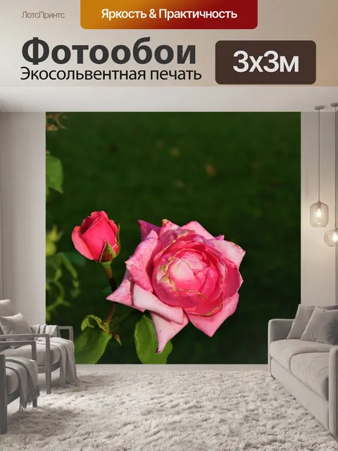 Фотообои Rose