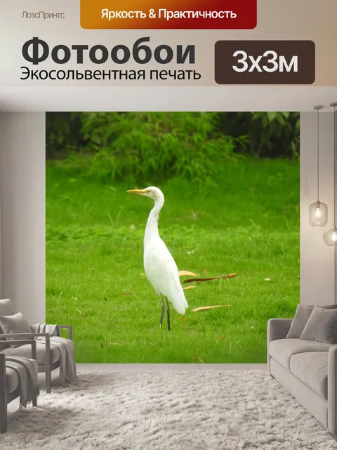 Фотообои Цапля