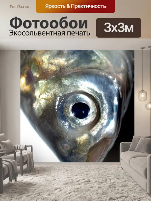Фотообои Пресноводная рыба фото