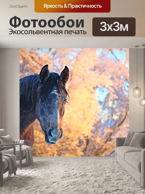 Фотообои Зима