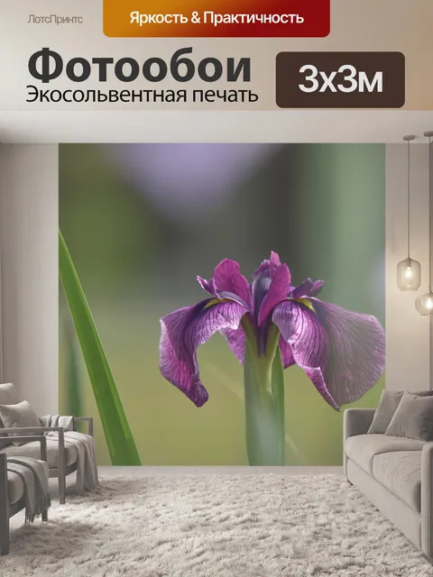 Фотообои Цветы