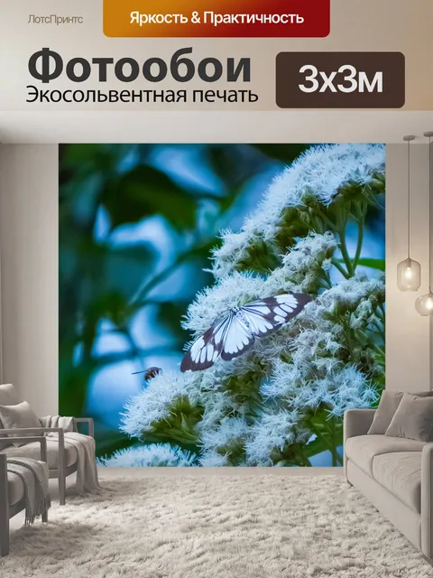 Фотообои Бабочка