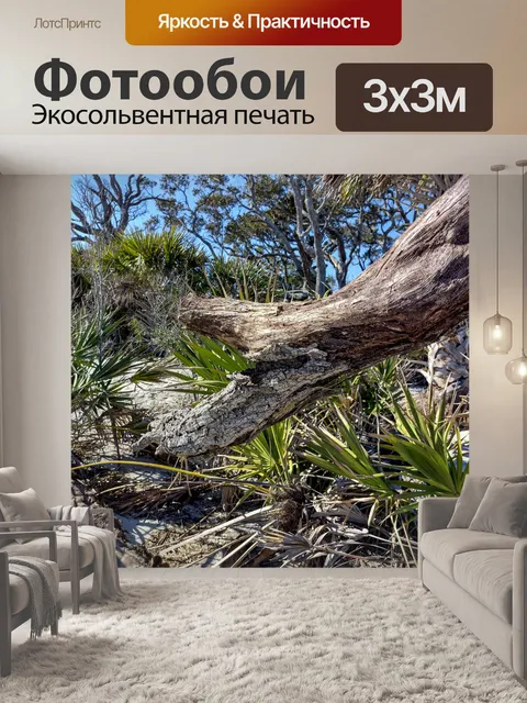 Фотообои Пышные тропические леса