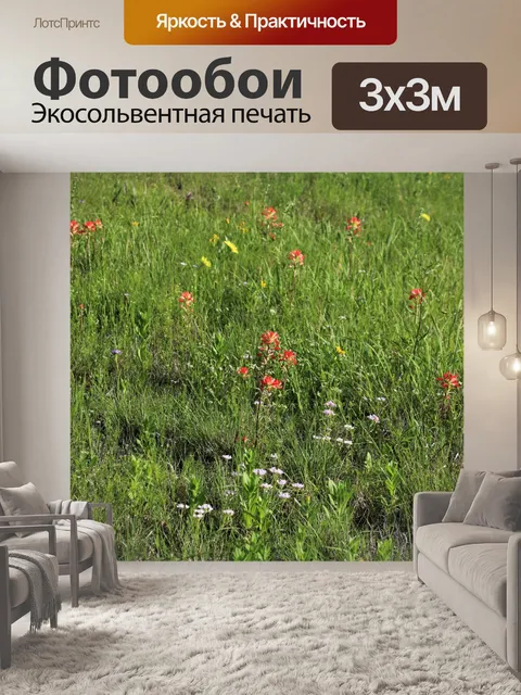 Фотообои Полевые цветы в поле страны