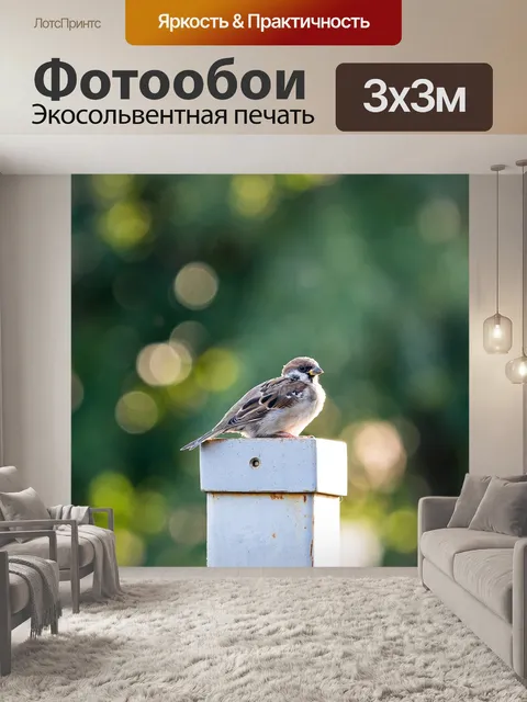 Фотообои Птицы