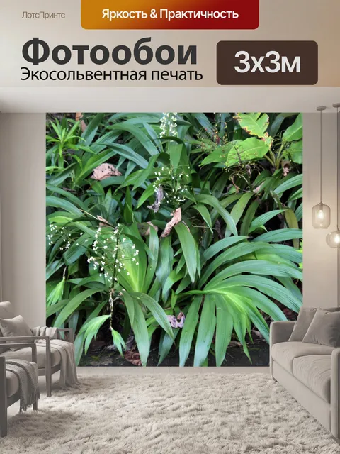 Фотообои Белый цветок с длинными листьями 3