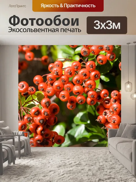 Фотообои Ягода