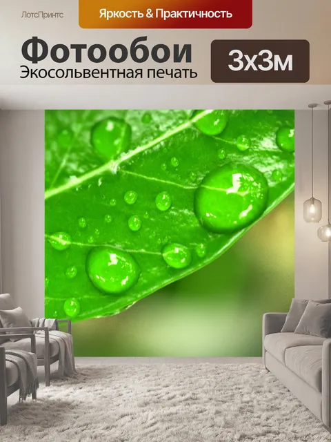 Фотообои Капля воды на листе