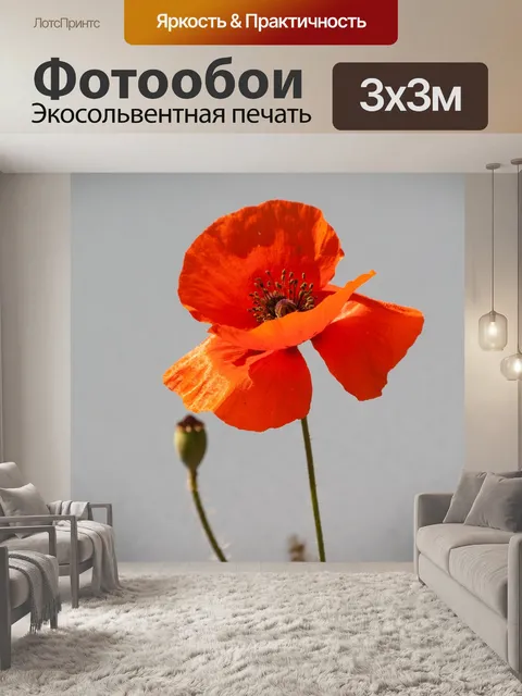 Фотообои Мак