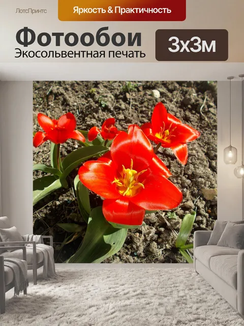 Фотообои Цветок