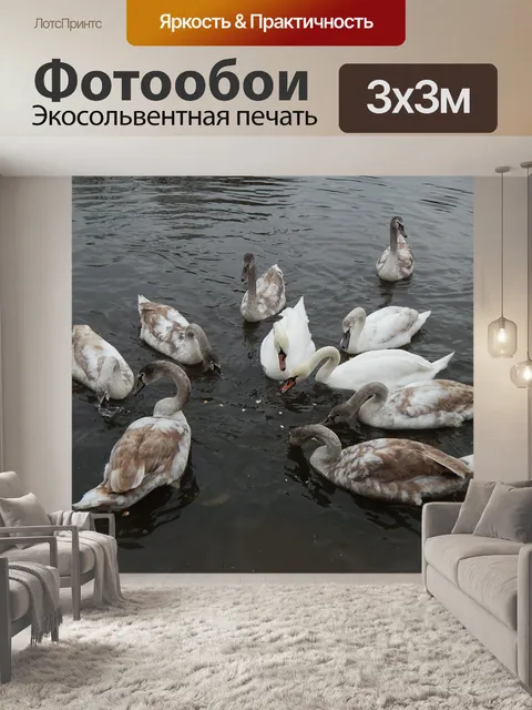 Фотообои Еда