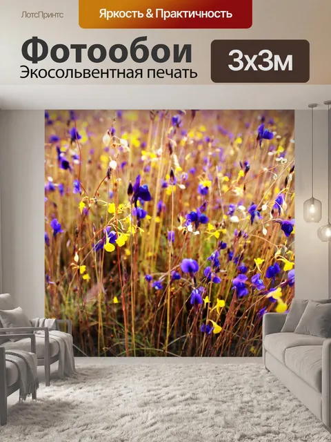 Фотообои Дикие цветы, Таиланд