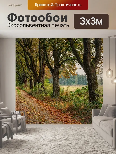 Фотообои Дорожка