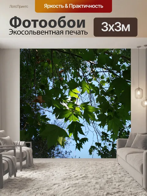 Фотообои плоские листья