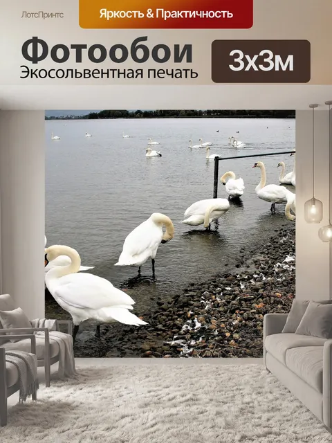 Фотообои Дикие птицы