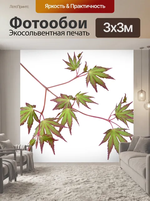 Фотообои Клен