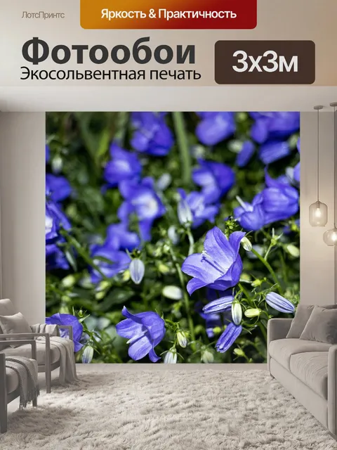 Фотообои Цветы