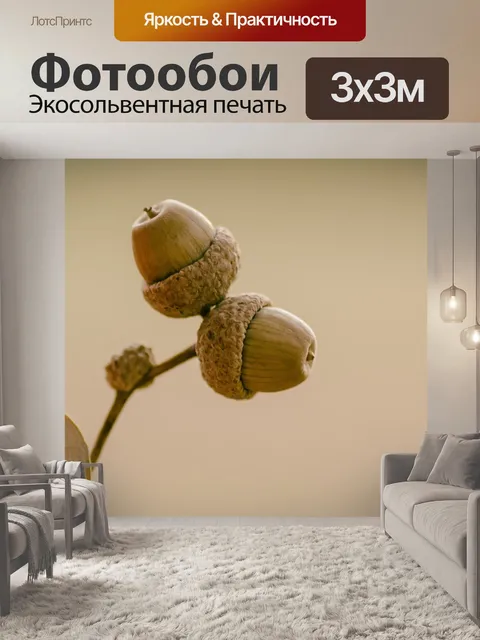 Фотообои Желуди