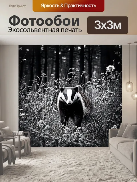 Фотообои на краю леса, где начинается луг, барсук исследует подросшие травы и цветы