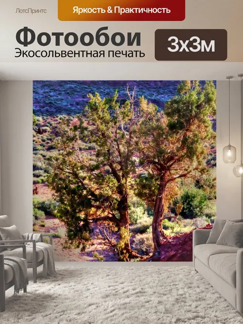 Фотообои Деревни пустыни