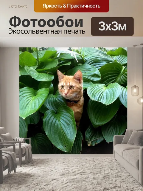 Фотообои Кошка