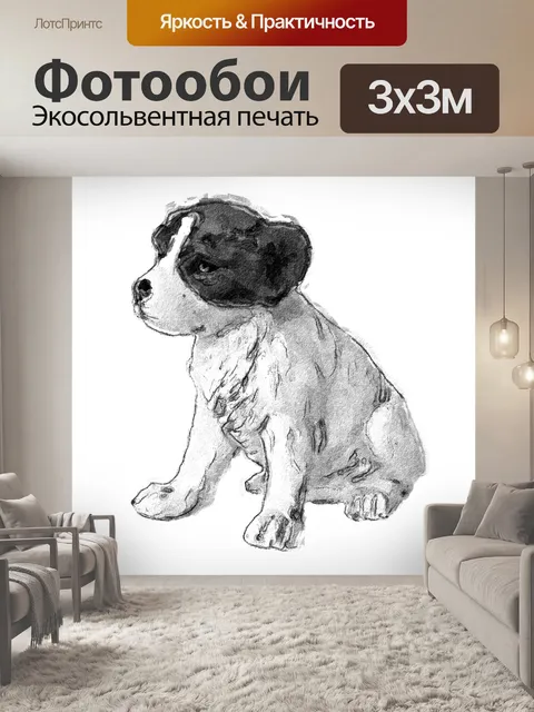 Фотообои Собака