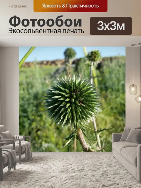 Фотообои Растения