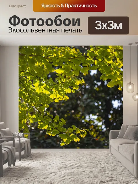 Фотообои Листья