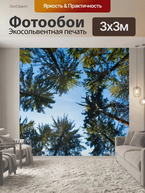 Фотообои Лес