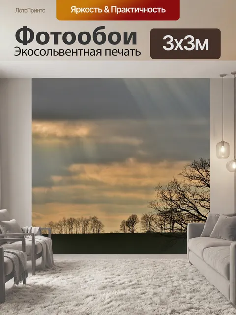 Фотообои Силуэт