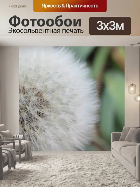 Фотообои Белый