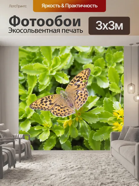 Фотообои Бабочка