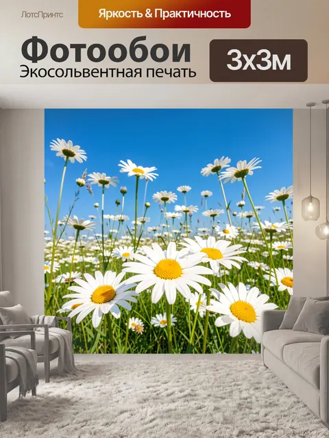 Фотообои Ромашковое поле под синим небом
