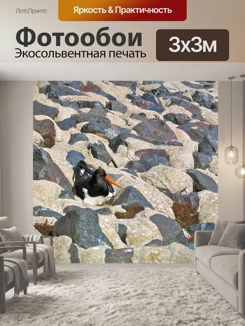 Фотообои Птица