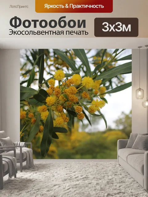 Фотообои Этажи