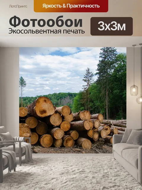 Фотообои Лес