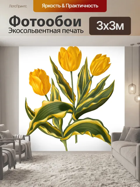 Фотообои Цветы