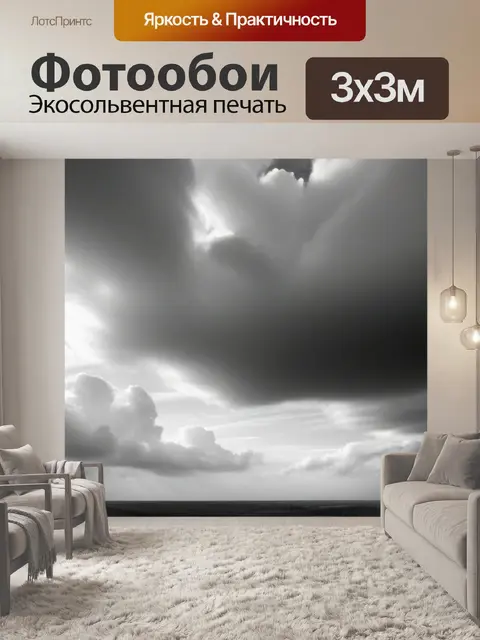Фотообои фото пейзаж с небом чернобелый