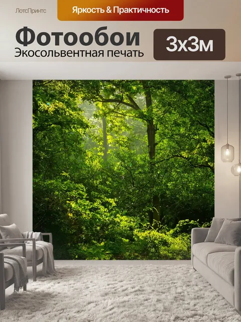 Фотообои размер зелёного леса с различными деревьями и подлеском