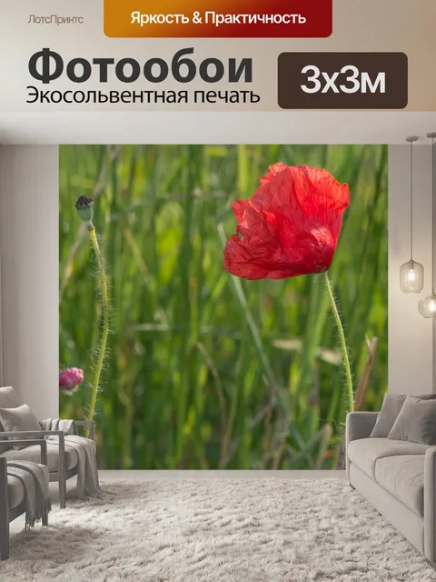 Фотообои Один в траве