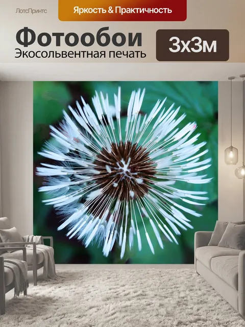 Фотообои Цветы