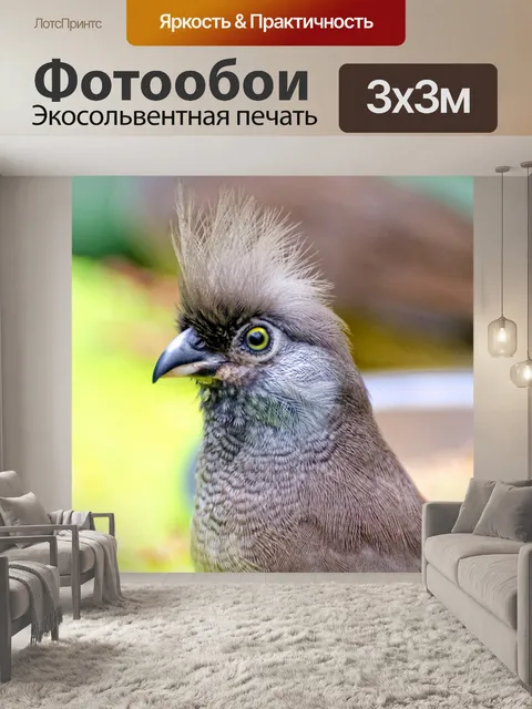 Фотообои Птица