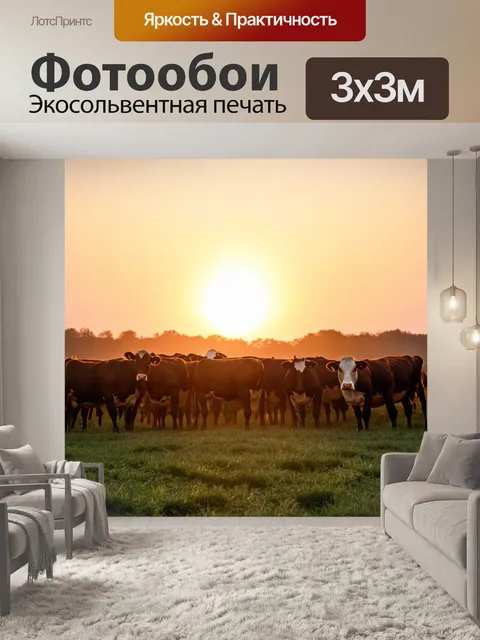 Фотообои закат на старом молочном питомнике