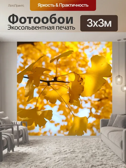 Фотообои Солнечный свет