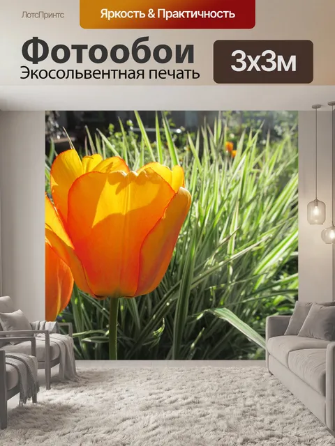 Фотообои Тюльпаны