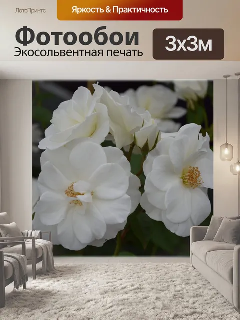 Фотообои Голландские цветы в садах 67