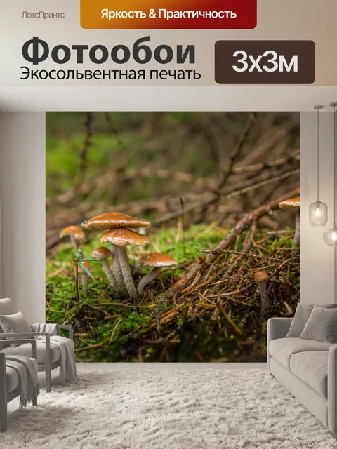 Фотообои Лес