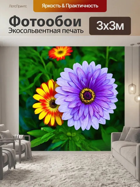 Фотообои цветы в стиле диаграммный рисунок