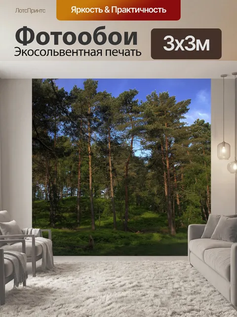 Фотообои Фон